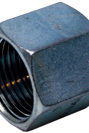 11/16"-16 ORFS FEM BLANK CAP