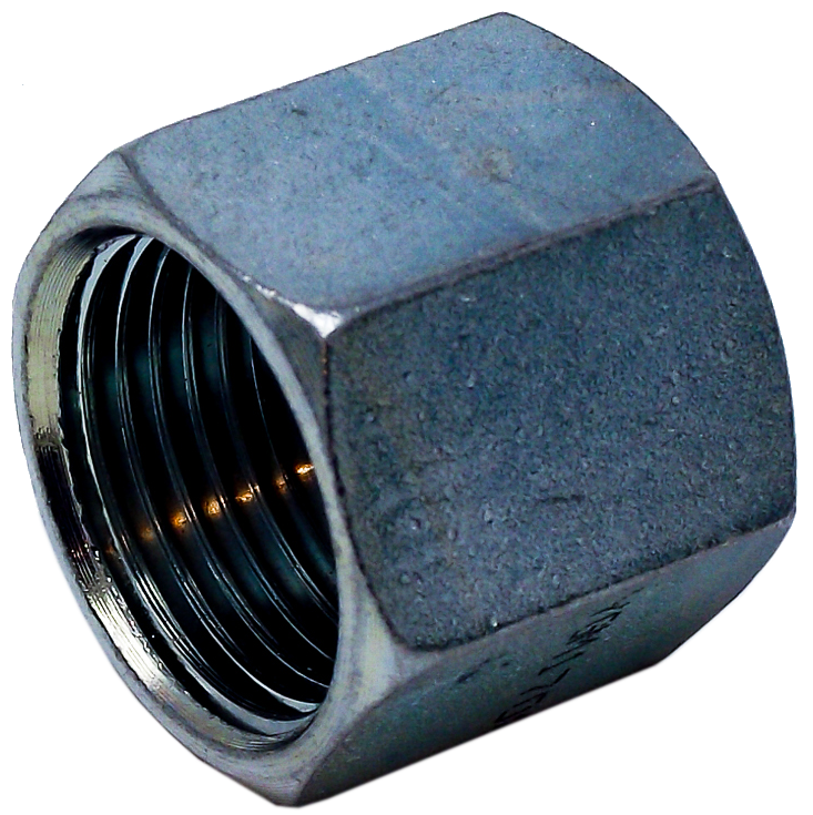 13/16"-16 ORFS FEM BLANK CAP