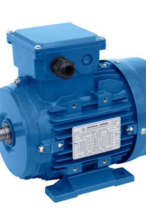 71 FRAME 0.25KW 1000 RPM B3